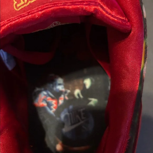 Nike SB dunk “Wizard of Oz” poppy field - Picture 5 of 9